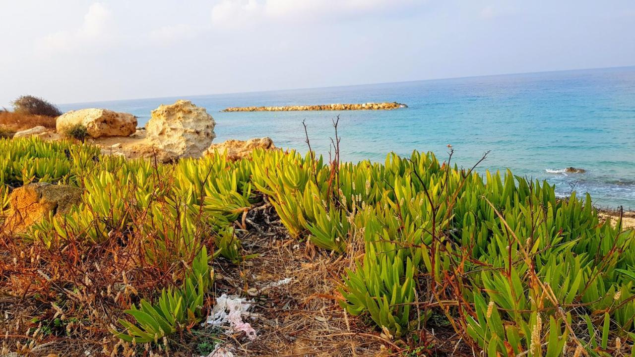 Dahan Sirena Lighthouse Luxury Apartment Paphos Luaran gambar